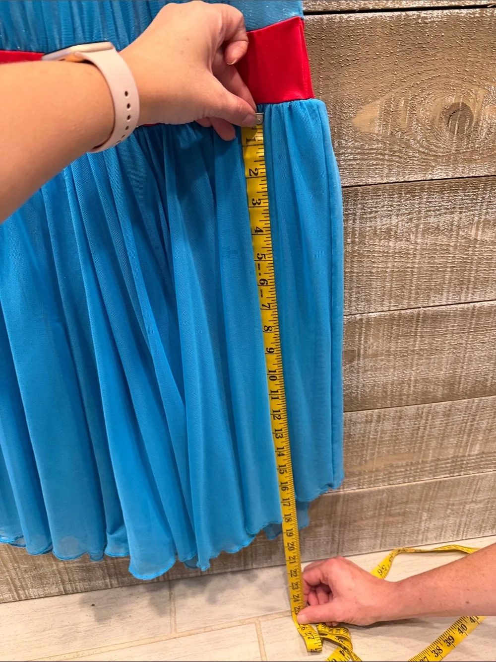 The Lineup Adult L Blue Tulle Dress with Red Collar and Belt